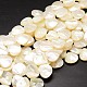 Natural Trochid Shell/Trochus Shell Beads Strands US-SSHEL-K009-10-1