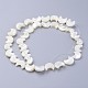 Natural White Shell Beads Strands US-X-SSHEL-12X11-2