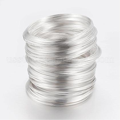 Carbon Steel Memory Wire US-FIND-S601-0.6x55mm-S-1