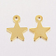 304 Stainless Steel Charms US-STAS-F162-42G-2
