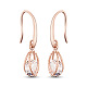 SHEGRACE Creative Design Rose Gold Plated Brass Hook Earrings US-JE99A-1
