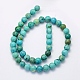 Natural Crazy Agate Beads Strands US-G-G707-8mm-A14-2
