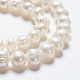 Natural Cultured Freshwater Pearl Beads Strands US-SPPA005Y-1-4