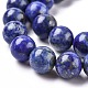 Natural Lapis Lazuli Round Bead Strands US-G-E262-01-10mm-10
