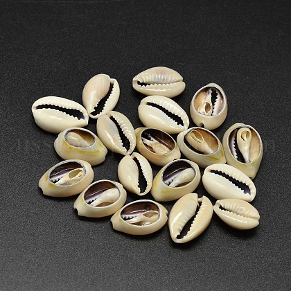 Natural Cowrie Shell Beads US-BSHE-O007-73-1
