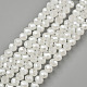Electroplate Glass Beads Strands US-EGLA-A034-J10mm-A01-1