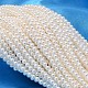 Round Shell Pearl Bead Strands US-BSHE-L011-3mm-A013-1