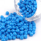 Baking Paint Glass Seed Beads US-SEED-S003-K17-1