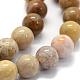 Natural Fossil Coral Beads Strands US-G-G763-12-6mm-6