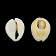 Natural Mixed Cowrie Shell Beads US-X-BSHE-S053-01-2