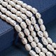 Natural Cultured Freshwater Pearl Beads Strands US-PEAR-L001-02-2