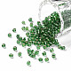 8/0 Glass Seed Beads US-SEED-A005-3mm-27-1
