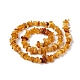 Natural Amber Chip Beads Strands US-G-E271-81-3