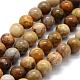 Natural Fossil Coral Beads Strands US-G-G763-12-6mm-5