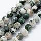 Natural Tree Agate Beads Strands US-G-I199-03-8mm-4