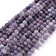 Natural Lepidolite/Purple Mica Stone Beads Strands US-G-E545-01A-4