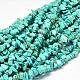 Dyed Natural Magnesite Chips Beads Strands US-G-L454-06-1