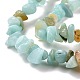 Natural Amazonite Chips Beads Strands US-G-M205-12A-4