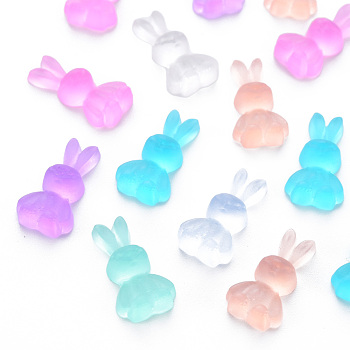 Transparent Resin Cabochons, Rabbit, Mixed Color, 19x10x5mm