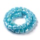 Electroplate Opaque Glass Beads US-GLAA-F108-10A-04-2