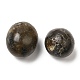 Natural Labradorite Beads US-G-O188-01-4