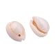 Natural Cowrie Shell Beads US-BSHE-X0006-01-3