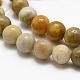 Natural Fossil Coral Beads Strands US-G-K194-8mm-05-3