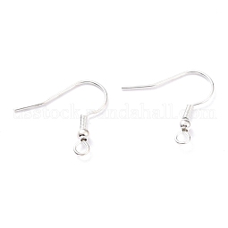 304 Stainless Steel Earring Hooks US-X-STAS-T031-17S