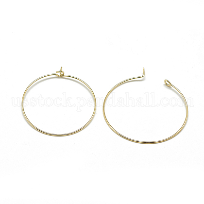 Brass Hoop Earrings US-KK-T032-015G-1