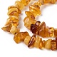 Natural Amber Chip Beads Strands US-G-E271-81-2
