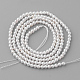 Shell Pearl Beads Strands US-PEAR-R064-94-2