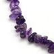 Natural Amethyst Chips Beads Strands US-G-P030-02-2