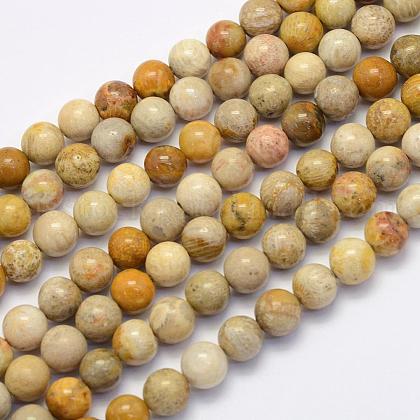 Natural Fossil Coral Beads Strands US-G-G697-F01-8mm-1