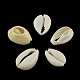Natural Mixed Cowrie Shell Beads US-X-BSHE-S053-01-3