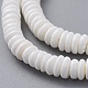 Disc Natural Sea Shell Beads Strands US-SSHEL-F290-21-3