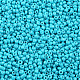 Baking Paint Glass Seed Beads US-SEED-S002-K10-2