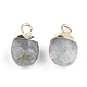 Electroplate Natural Labradorite Charms US-G-S344-09D-2