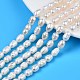 Natural Cultured Freshwater Pearl Beads Strands US-PEAR-N012-07A-1