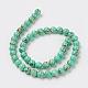 Sea Shell and Synthetic Turquoise Assembled Beads Strands US-G-G758-07-12mm-2