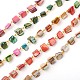 Handmade Sea Shell Beads Chains for Necklaces Bracelets Making US-AJEW-JB00067-1