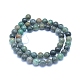 Natural Chrysocolla Beads Strands US-G-L552H-12-3