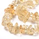 Natural Citrine Chip Beads Strands US-G-E271-100-3