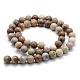 Natural Fossil Coral Beads Strands US-G-G763-12-6mm-2