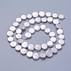 Shell Pearl Beads Strands US-BSHE-P030-01A-1