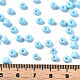6/0 Glass Seed Beads US-SEED-S058-A-F436-4