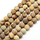 Frosted Natural Picture Jasper Round Bead Strands US-G-M064-10mm-05-1