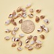 Conch Shell Beads US-BSHE-PH0001-09-5