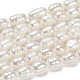 Natural Cultured Freshwater Pearl Beads Strands US-PEAR-S012-41-5