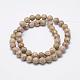 Natural Fossil Coral Beads Strands US-G-P325-01-8mm-2