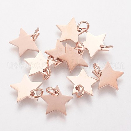 304 Stainless Steel Charms US-STAS-Q201-T461R-1